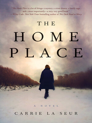 The Home Place - ebook